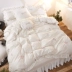 Tấm lưới màu đỏ tinh khiết bên cotton bốn mảnh công chúa trắng kiểu Hàn Quốc chăn bông 1,5 m Bộ đồ giường 1,8m - Bộ đồ giường bốn mảnh