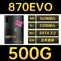 870 EVO 500G
