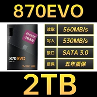 870 EVO 2TB
