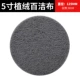 5 -INCH VELVET GREE BLEATE SEAC