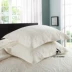 giường bông châu Âu bao gồm mảnh duy nhất của khăn trải giường rắn ba mảnh bông của Mỹ bông tấm dày cao cấp bông - Trải giường drap giuong Trải giường