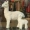 Mô phỏng Alpaca Trang trí nội thất nhà sáng tạo Alpaca Mô hình Trang trí may mắn tốt lành Trang trí cửa sổ Đạo cụ trưng bày Alpaca - Đồ chơi gia đình