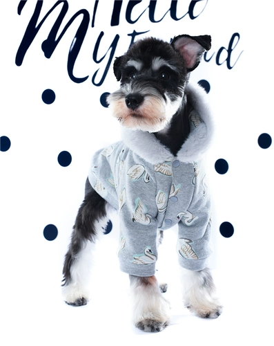 Демисезонный лебедь с капюшоном, хлопковая куртка, 2018