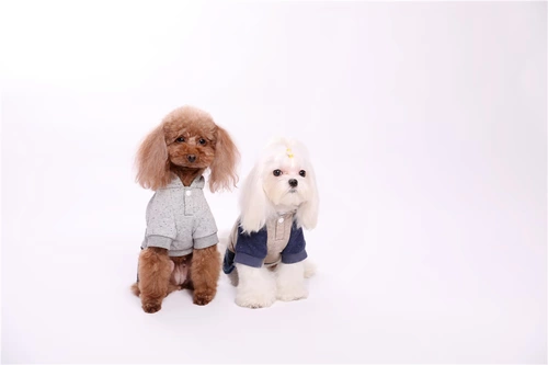 Pet Park Pet Clothing 2018 Осень и зимняя боевая джинсовая джинсовая джинсовая юбка для собачья одежда для собак 18341001/5