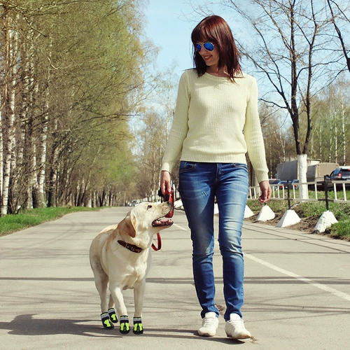 Ботинки для собак Big Dog Pet Cover большие собачьи золотые волосы на самуи с четырьмя весенними и летними инсталляциями водонепроницаемы