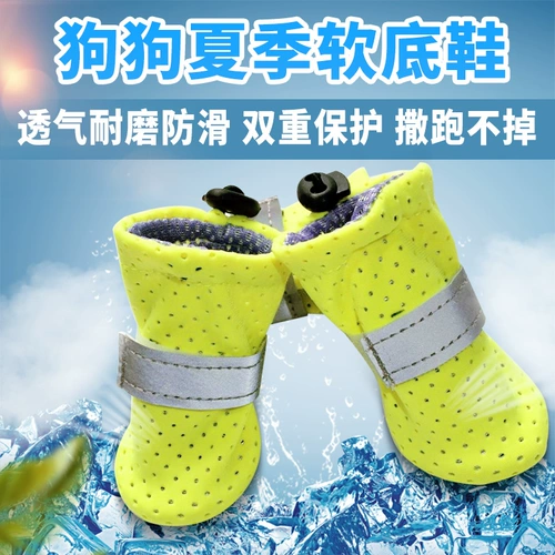 Служба для собак Плюс