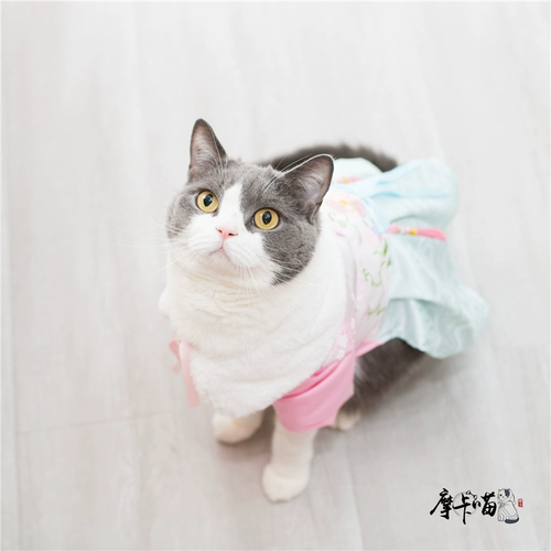 Демисезонный пуховик, ханьфу, юбка, плащ, косплей, наряжаться