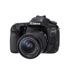 Kiến hoa sân khấu dàn dựng Canon Canon EOS 80D cấp nhập cảnh chuyên nghiệp HD máy ảnh kỹ thuật số SLR SLR kỹ thuật số chuyên nghiệp