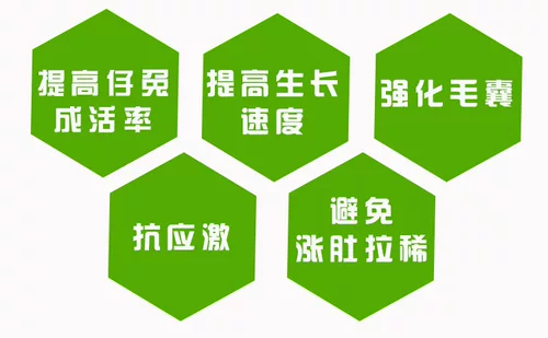 Круми кролика Специальная зеленая предварительная кормовая корм