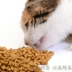 Úc Kewei ngon cá biển hương vị thức ăn cho mèo 2 kg nhập khẩu hạt nhỏ mèo hạt chính sữa bánh thực phẩm 500 gam * 4 gói