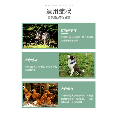 Таблетки таблетки Beast Little куриные таблы