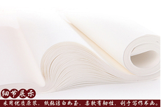 Инструменты для рисования 李晓明工笔画定制推荐自用工笔画专用--四尺云母熟宣（5张）