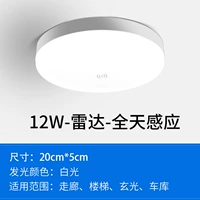 Радар-все день-12W-специфический 15,9 ограниченного 1