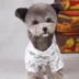 Quần áo cho chó Áo ren đáy quần áo Thú cưng gấu Teddy vật nuôi chó nhỏ và mèo quần áo - Quần áo & phụ kiện thú cưng