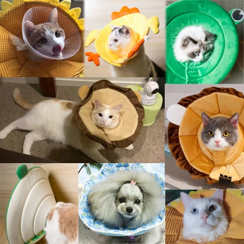 Элизабет Круг Кот, собака, собака, мягкая, прозрачная стыд, противозачаточная анти -подчеркивающая шея шеи, маленькая голова, Set Summer P