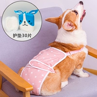 Милые физиологичные штаны, 30 штук