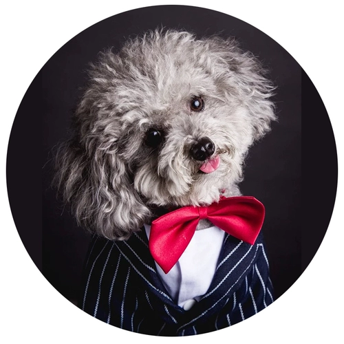 Педань собака кот галстук с бабочкой красные украшения маленькие собачья свадебная джентльмен галстук Тедди Бибар Медведь Ювелирные изделия