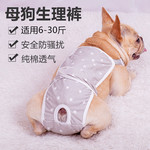 Мальчик собака собака хлопковое биологическое брюки по ремню тела плюшевое плюшевое медведь фана