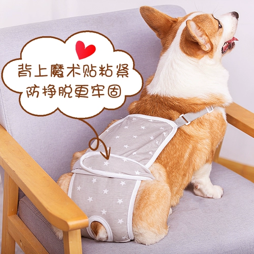 Мальчик собака собака хлопковое биологическое брюки по ремню тела плюшевое плюшевое медведь фана