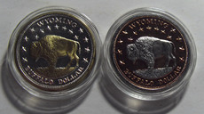 Сувенирные значки, Медали 美国 - 怀俄明州