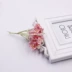 Mô phỏng hoa mận đầy sao hoa oải hương tự làm trang trí thủ công giày và mũ vòng hoa chụp prop trang trí đám cưới hoa - Hoa nhân tạo / Cây / Trái cây