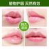 Duo Shang Duo Natural Plant Lip Balm Giữ ẩm Giữ ẩm Không màu Lip Care Chăm sóc da mặt Môi và Nam mặt nạ dưỡng môi Điều trị môi