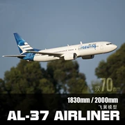 Mô hình máy bay điều khiển từ xa hai động cơ AL37