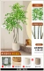 2,2 метра 4 голов Bamboo Sky Sky Bamboo?