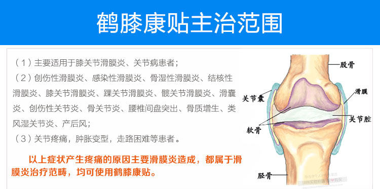 远洋鹤膝康贴全国统一售价 是假药吗 广州哪里有卖