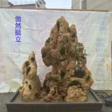 Водный камень бонсай бонсай бонсай бонсай с 75 до 85 см таунхауса с бассейном в бонсай