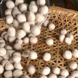 Изысканный Chao Cai Guangdong Специализированный