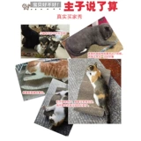Игрушка, большой диван, мятный мешочек, домашний питомец, кот