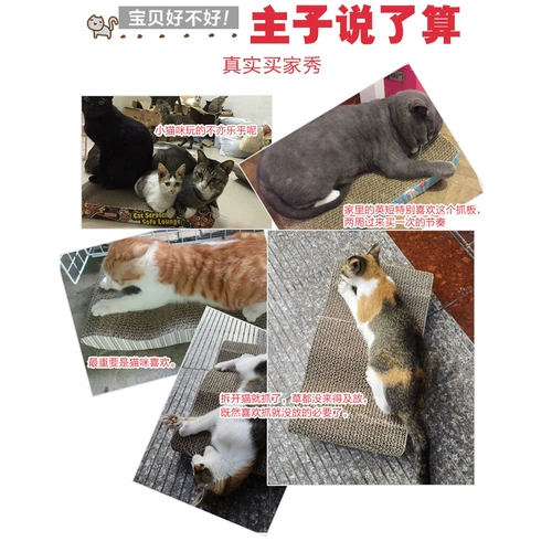 Игрушка, большой диван, мятный мешочек, домашний питомец, кот