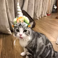 Локк -домашний кошачьи шляпа Шляпа милый единорог маленький, маленький маленький кошачий день рождения свадебный капюшон