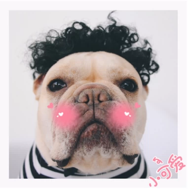 Цепочка, чокер, ожерелье, аксессуар, солнцезащитные очки, подвеска