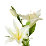Gao Simulation San Head Lily Flow