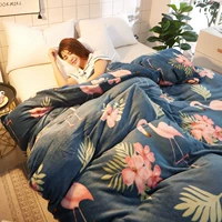 Fluffy chăn mùa đông nhung san hô một mảnh tấm flannel flannel 2x2.3 vài nhung Mega dày - Quilt Covers 	chăn phao giá rẻ