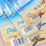 10 Бен установил a4a5a6 Blank Plips подписал проект бумажной бумаги Blank Paper Student Office для офиса