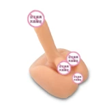 Сидящие артиллерийские трубы Большой мужской корневой симуляция и ложный jj с килем с хризантемами -женщинами геев