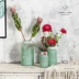 Bộ chậu hoa thủy tinh Bắc Âu đơn giản phong cách cây xanh bình cắm hoa thủy canh nến thủy tinh sản phẩm mới đầy đủ 68 bài - Vase / Bồn hoa & Kệ