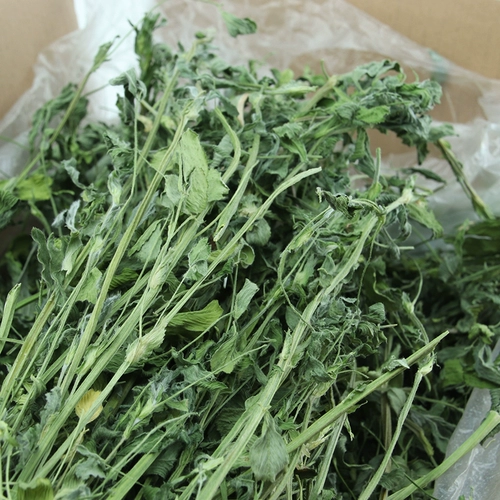 Бесплатная доставка сушеные фиолетовые цветы, кроличьи кролики, морская свинка тоторо