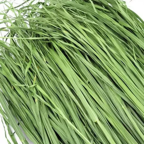 БЕСПЛАТНАЯ ДОСТАВКА 22 года сушильной пшеничной травы, кролик -дракон, голландская свинина, дельфин, немецкий, сухой травяной корм для корма