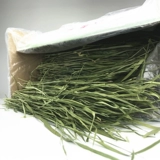 Бесплатная доставка Herda Drying Barley трава Toton Trust Rabbit Litg