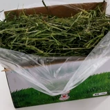 Бесплатная доставка Специальная зеленая 20 -летняя секция смешанной травы пастбищ, Моисей, пшеница, плетена