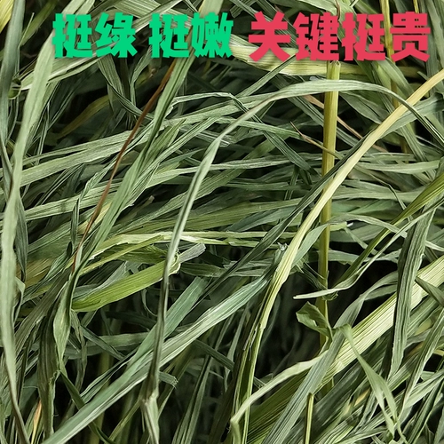 Бесплатная доставка ВСЕ -ЛИФА НАНДА ТИМОРИ трава трава 250 г кроличья трава голландские свиньи, доляция мыши Totoro nandi