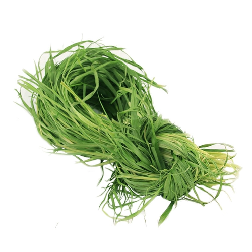 Бесплатная доставка новая столица корма, сушеная зеленая овсянка 250 граммов тоторового кролика, гвинеи, сухой трава, сушеные травы, три главные травы