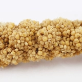 Huanggu Sui Золотое филе подвесные крысы Barcers Barrite Squirrel Snack Dutrition Feed 100g