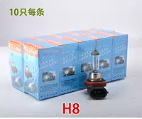 Foshan Zhao Bubble H8 12V 10