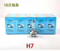 Foshan Zhao Bubble H7 12V 100W 10