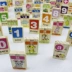 Khối gỗ 100 ký tự Trung Quốc Đồ chơi giáo dục trẻ em domino 1-2-3-6 một tuổi biết chữ bộ đồ chơi xếp hình bằng gỗ Khối xây dựng